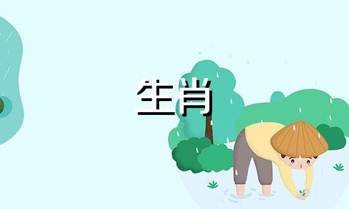 属猪人2021年爱情运不错，单身的属猪人要注意良缘。