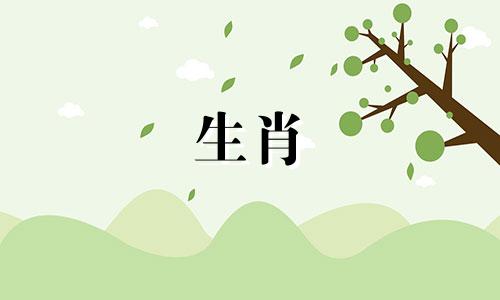 2021年属兔的人是不是很稀有呢?属兔人2021年事业运势