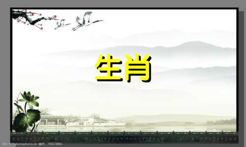 鸡年出生的人应该用什么头像?头像有什么特点?