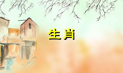 属羊和属鸡的婚姻配对如何？属羊男和属鸡男结婚可以幸福吗？