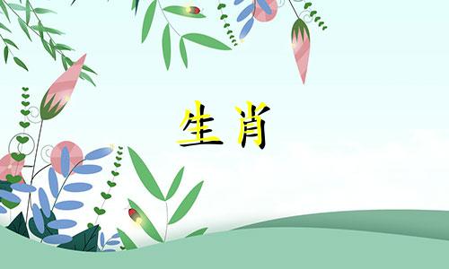 属龙和猴相配吗？他们的配对运气如何？