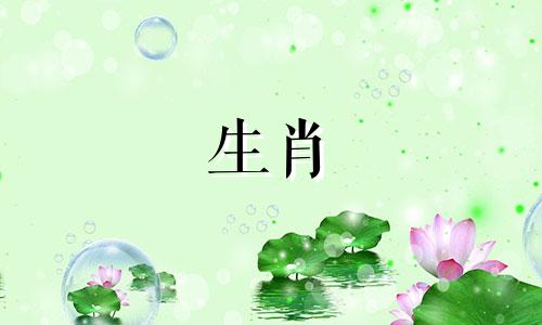 属蛇和属兔出生的属牛的宝宝，在属蛇和属牛的组合下，会有幸福的生活。