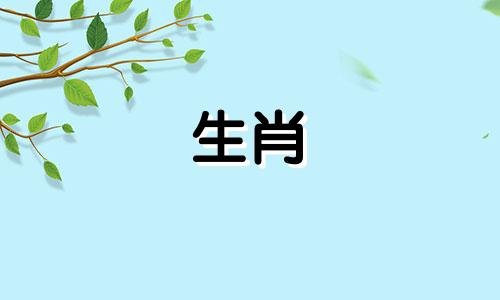 1995年出生的属猪人2021年,有贵人相助,事业发展良好