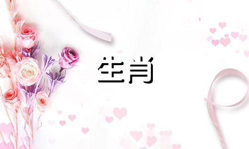 1970年出生的狗的寿命是多少? 1970年出生的狗的最终寿命是多少?