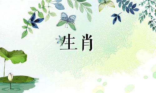 属马属鼠的人结婚好不好？你的婚姻运如何？