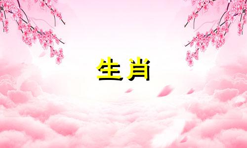 如果你出生在鸡或蛇的星座,那么生肖蛇的宝宝将会很幸运。