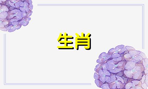 鸡和狗的相配怎么样？