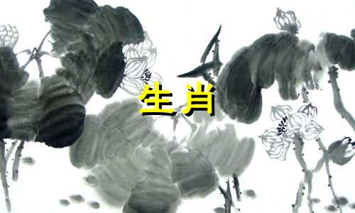 属蛇和属虎的婚姻合适吗？属蛇和属虎在一起有福气吗？