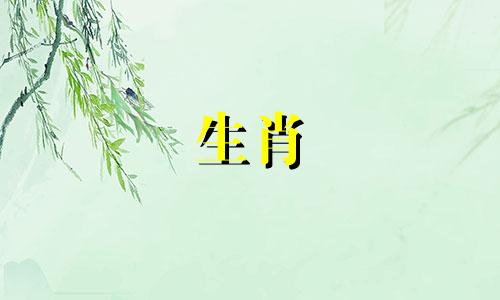 十二生肖中最擅长做好人的就是属龙女,她最擅长做好人。