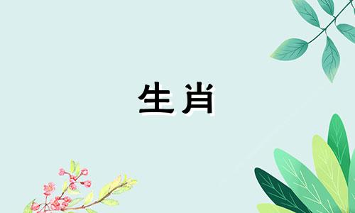 鸡年出生的两个人结婚怎么样?