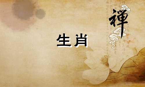 82年狗年出生的人，有过3次婚姻，运气一直很好。