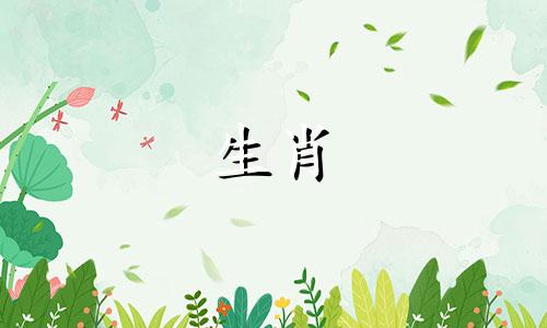 鼠年出生的人和猴年出生的人一般运势互补。