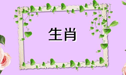 2021年哪些生肖最旺财？属兔人的运势会明显好转。