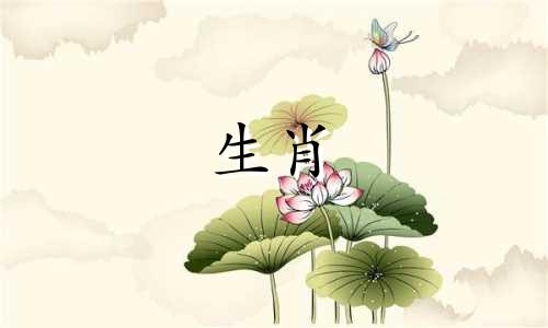 猪年出生的人2021年6月感情运势、健康稳定