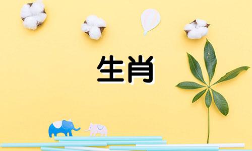 属鸡人在2021年11月运势会出现波折，人际关系会出现下滑。