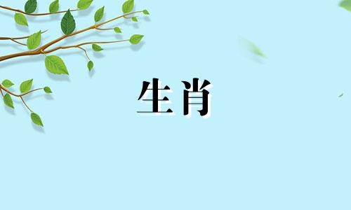 属猴人2022年的事业运和财运如何?猴与太岁相冲要注意什么?