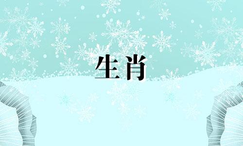 属蛇的人2021年8月运势稳定，运势有所提升。