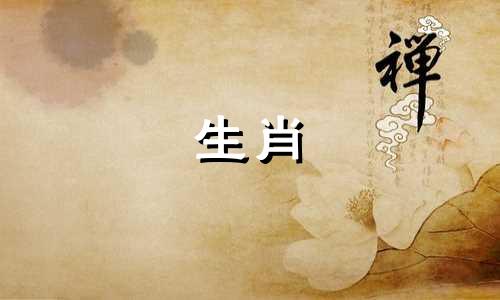 兔年出生的五贵人。兔年出生的贵人有哪些?