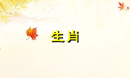 母兔和公狗适合结婚吗？母兔与公狗的婚姻怎么样？