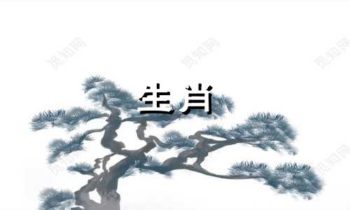 1985年属牛人的人生命运,85岁属牛人最旺的年纪