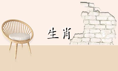 属马男和属龙女适合结婚吗?属马男和属龙女结婚怎么样?