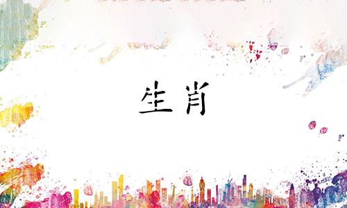 兔子和属猴生了一个狗宝宝。兔、狗在六重天，有好运。