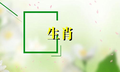 属猴的属猴人2021年桃花运如何旺?