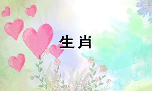 1975年属兔的人可以买车吗？提车时要注意什么？