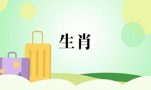 1987年属兔人的一生运势,意味着晚年生活幸福。