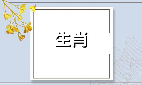 2021年,牛马婚姻最终破裂,爱情坎坷。