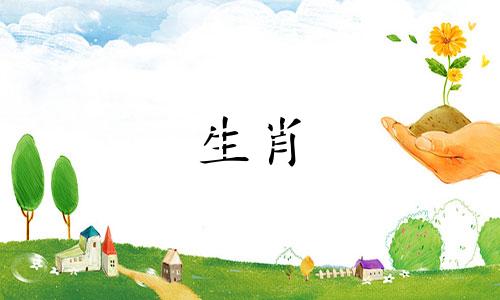 属龙、马、虎年出生的宝宝，运气会很好。邋遢和属虎的组合非常好。