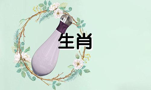 2021年,生肖牛的桃花异性缘好,桃花运势有所提升。