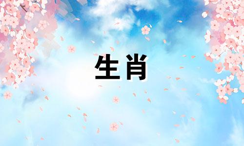 属猪人2021年财运会好吗？财富会继续流动吗？