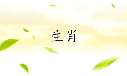 1997年牛年出生的女生婚姻运势如何？