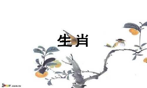 2021年,属牛人的感情会受到哪些影响?向他们的长辈寻求建议。