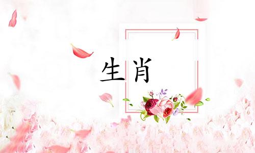 属鸡人在2021年的运势非常好。