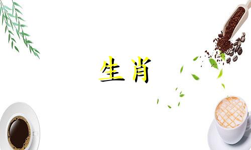2021年属牛宝宝出生最佳月份：3月属牛人独立性很强
