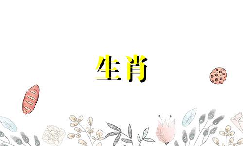 2021年最容易发财的生肖是猪、属龙、蛇