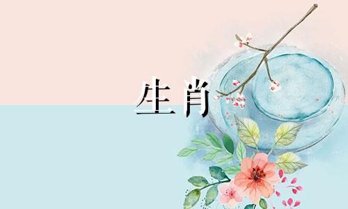 95属猪和96属鼠的爱情运势很默契,也比较稳定。