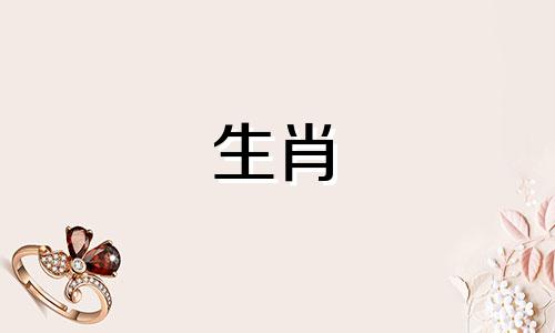 1951年出生的属兔人在2021年事业稳定,晚年安定幸福。