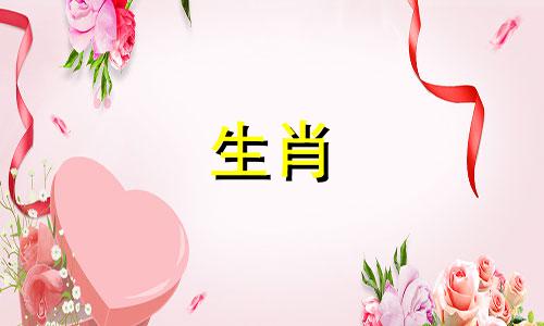 属狗、属龙的属猪宝宝，家运不错，财运亨通。