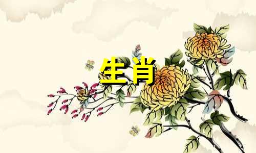 2004年属猴人的一生运势,2004年属猴人的凶年和吉年