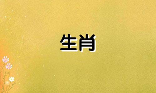 属虎人2021年8月爱情运势明显改善。