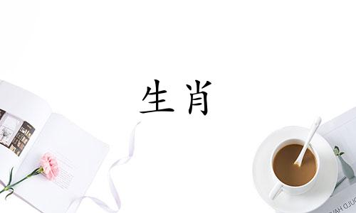 属鼠人2022年爱情婚姻运势 属鼠人2022年婚姻运势。