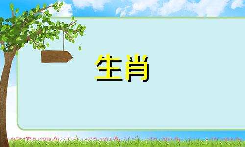 属狗的人和属兔的人性格兼容,相处融洽,家庭幸福。