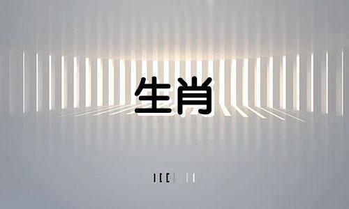 2021年6月关注属狗人各方面运势改善的影响