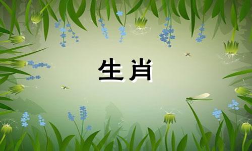 生肖鼠的幸运色是什么?生肖鼠今年什么颜色最旺?