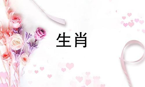 87 30岁以后，生肖兔二婚到几岁才不再任性？