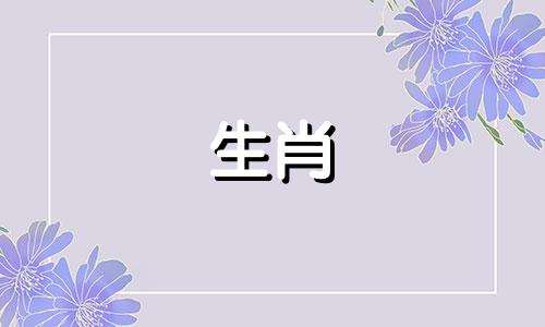 牛年的人如何通过色彩来招桃花、增加爱情运呢？