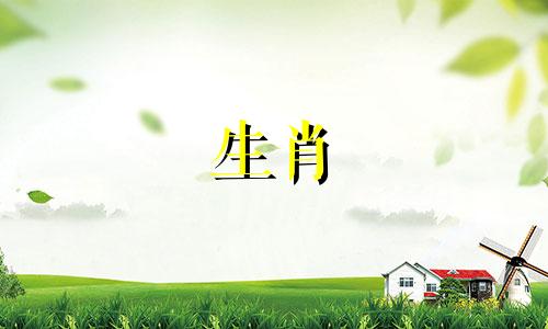 1987年属兔人的婚姻状况